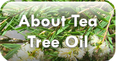 Learn about Tea Tree Oil