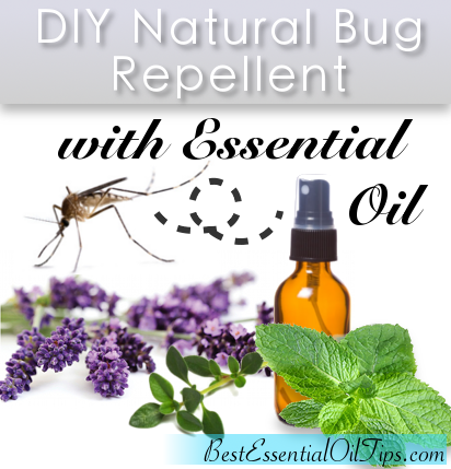 Top 5 Natural Bug Repellent Recipes using Essential Oils